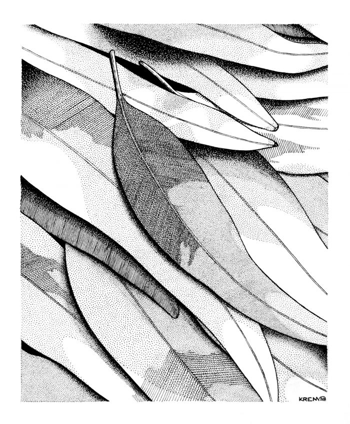 #65