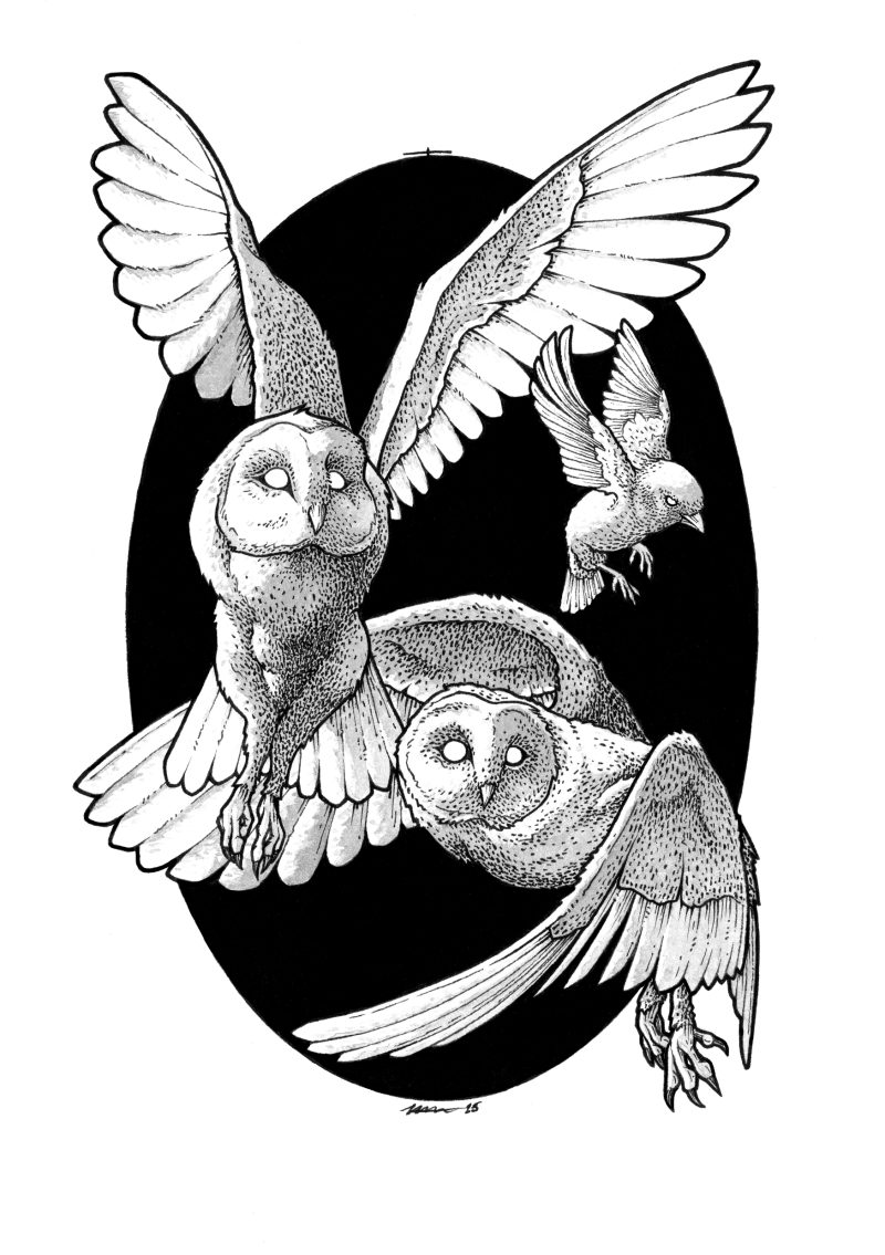 Owlhd