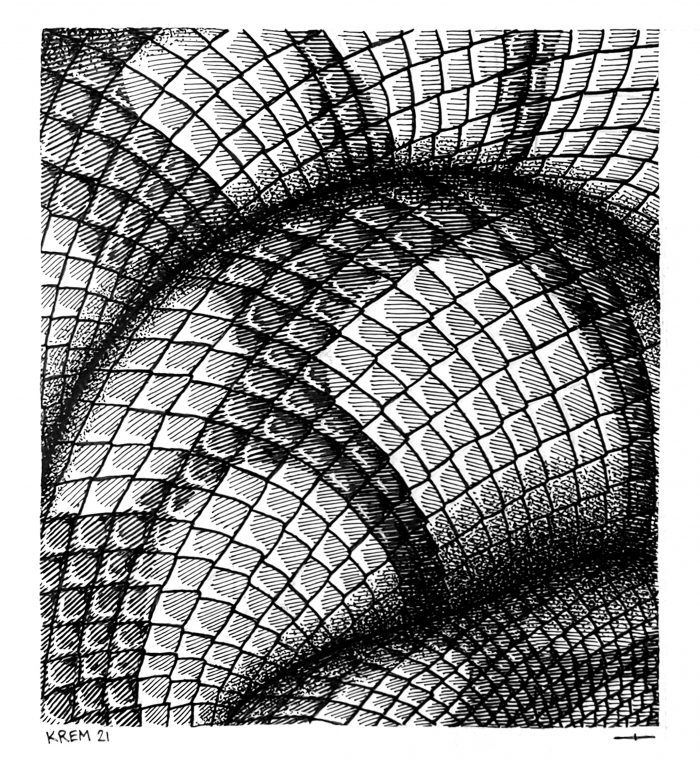 Slither